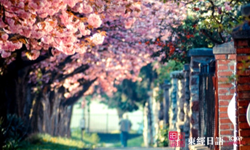 日本花道文化-日本文化-蘇州日語