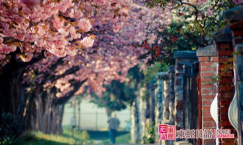 蘇州日語(yǔ)培訓(xùn)班-日本留學(xué)院校-蘇州日語(yǔ)