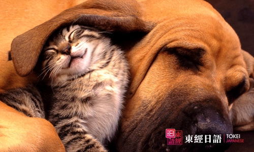 日語(yǔ)詞匯-蘇州日語(yǔ)-蘇州學(xué)日語(yǔ)